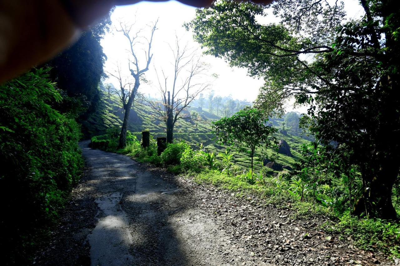 Green Magic Home Munnar Buitenkant foto