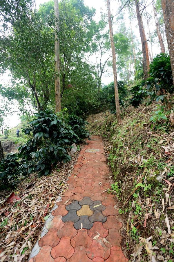Green Magic Home Munnar Buitenkant foto