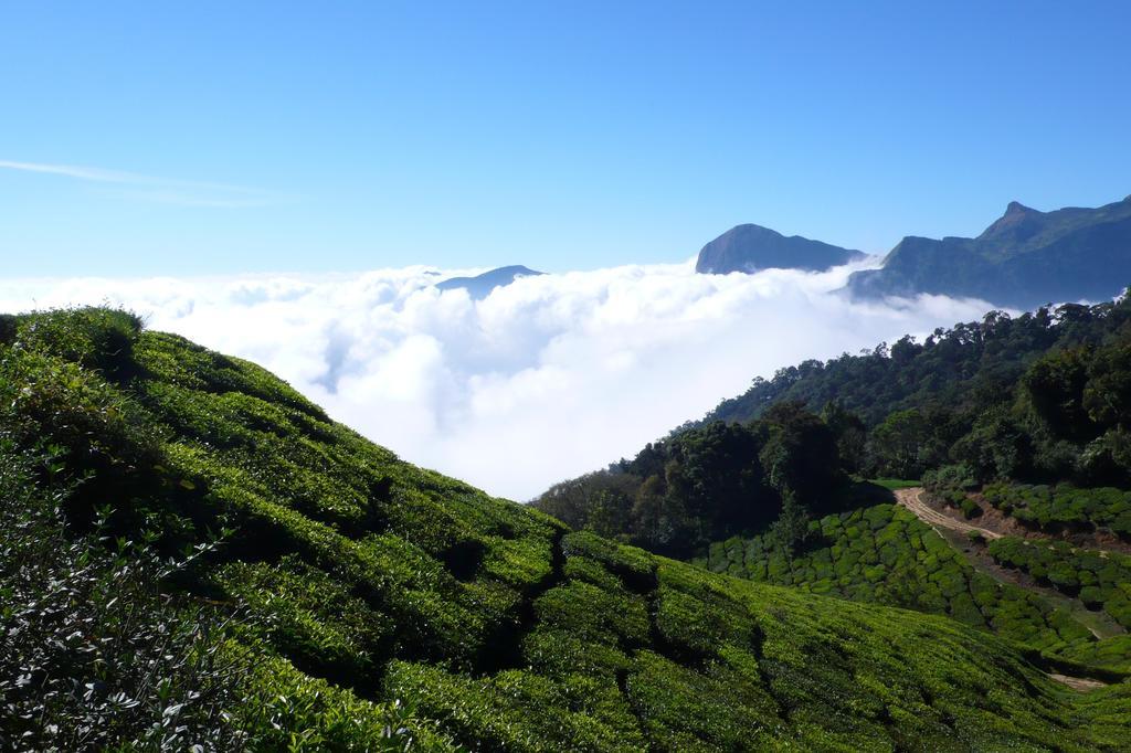 Green Magic Home Munnar Buitenkant foto